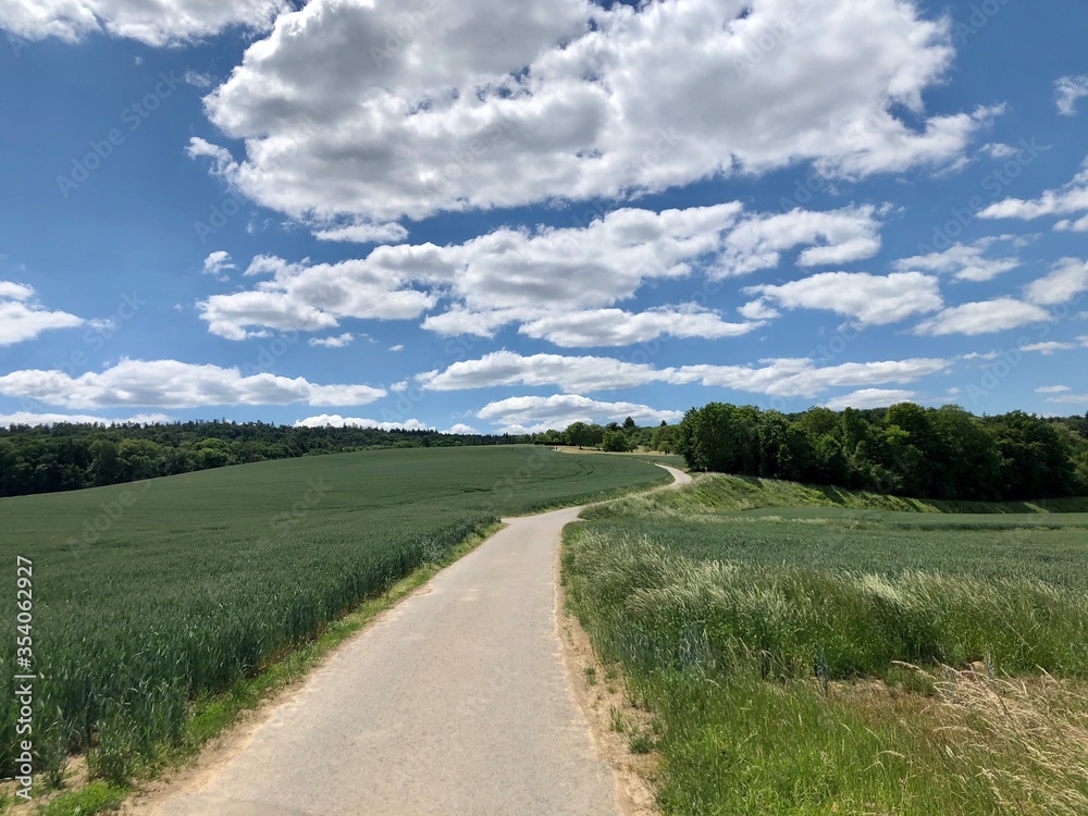 Aussteigender Feldweg