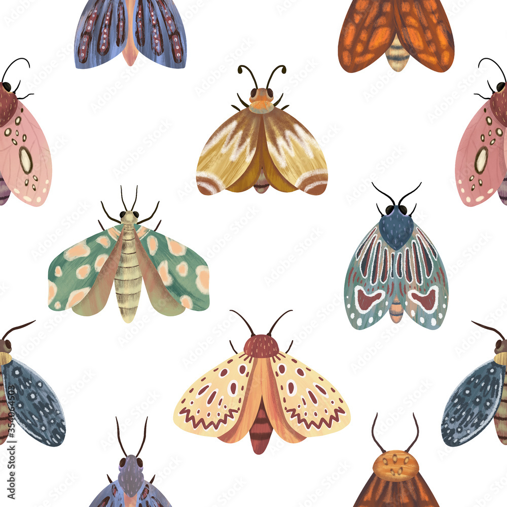 Seamless pattern. Moths on a white background. Seamless pattern. Moths on a white background.