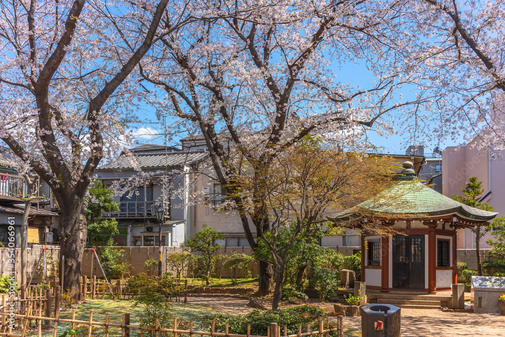 Hexagonal pavilion dedicated to the founder of Tokyo University of the Arts or Geidai in the public Okakura Tenshin Memorial Park of Yanaka under the cherry blossom trees. Hexagonal pavilion dedicated to the founder of Tokyo University of the Arts or Geidai in the public Okakura Tenshin Memorial Park of Yanaka under the cherry blossom trees.
