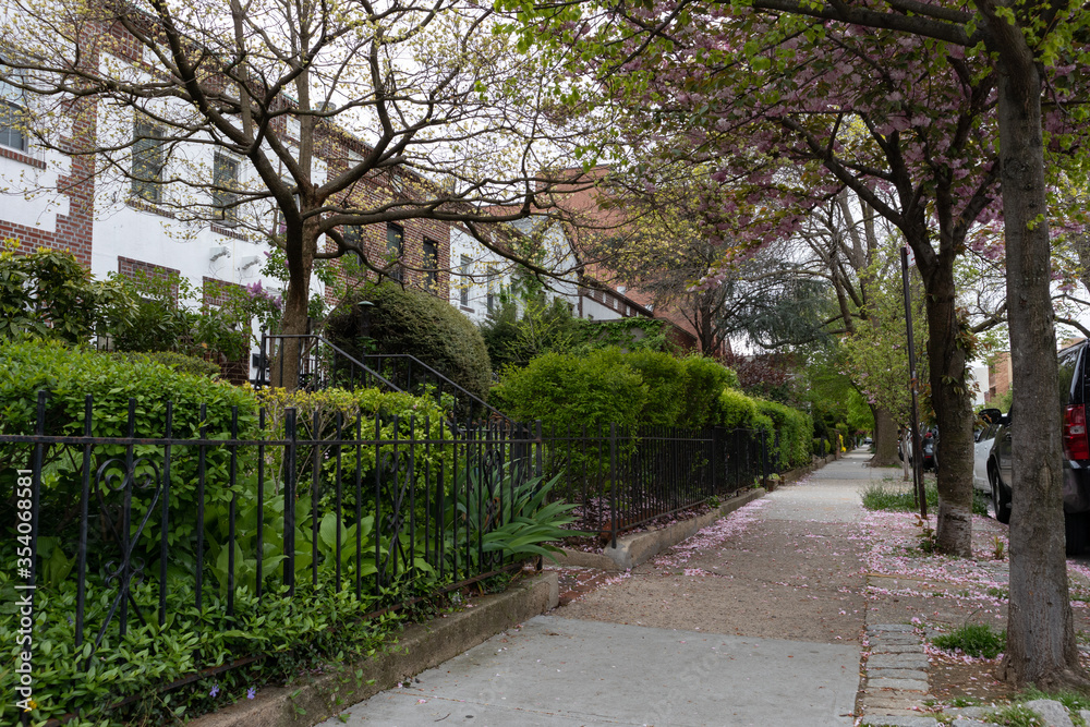 Beautiful Shaded Sidewalk with Old Homes and Green Plants during Spring in Astoria Queens New York Beautiful Shaded Sidewalk with Old Homes and Green Plants during Spring in Astoria Queens New York