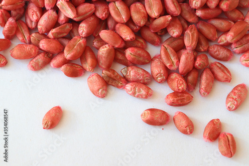 close up of red wheat seeds with dressing or wheat treatment