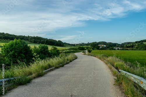 Caminos r  sticos atravesando campos en primavera.