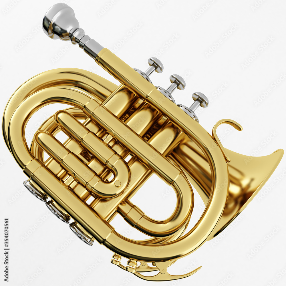 Obraz premium 3d Rendering of a Pocket Trumpet