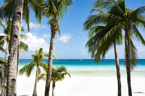  Selective focus  Stunning view of a white sand beach bathed by a turquoise sea and beautiful coconut palm trees in the foreground. White Beach  Boracay Island  Philippines.