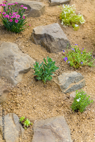 Newly planted rockery garden. Rock garden background with sedum, dianthus, phlox and succulent rossete flowers. photo