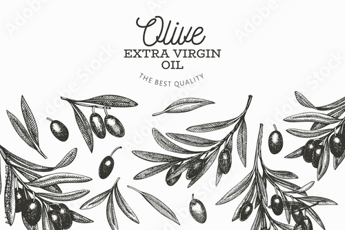 Olive branch design template. Hand drawn vector food illustration. Engraved style mediterranean plant. Vintage botanical picture.