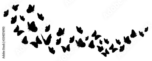 Photography Silhouettes of butterflies flying. Vector design. Blackground.