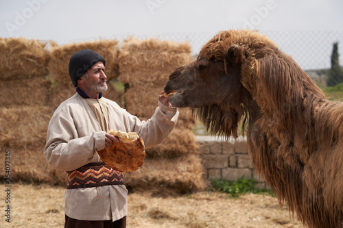 Valokuva Old farmer man feeding his camels at the Camel farm