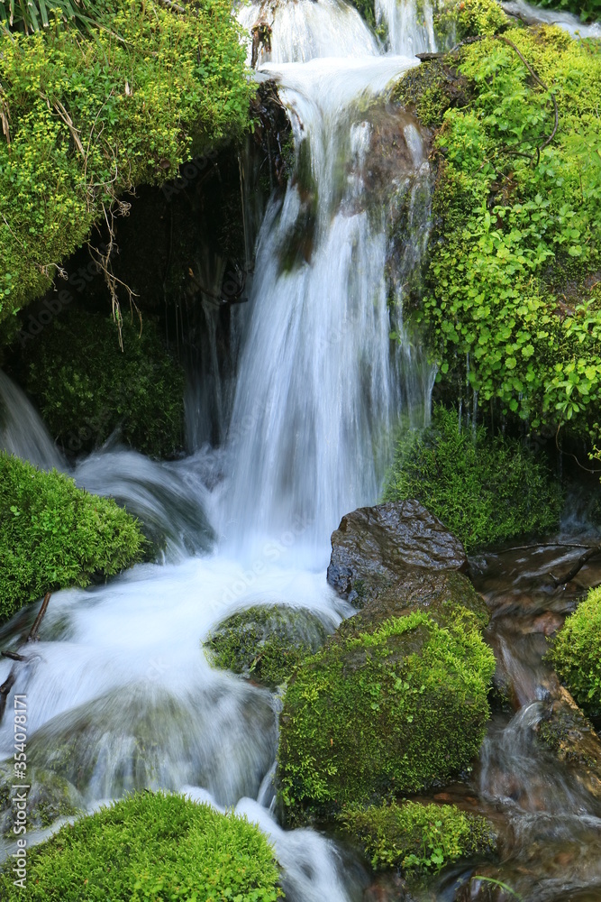 Fototapeta premium 春の苗名滝