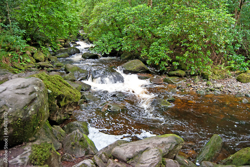 Stream at Killarney National Park, Ireland