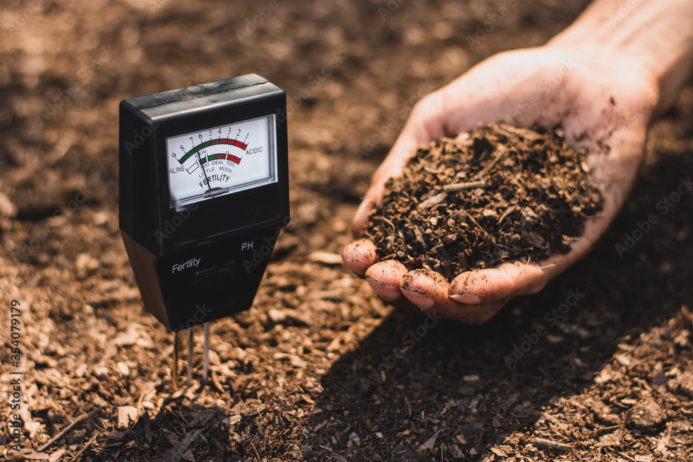 Soil meter that is currently being used in a loam that is suitable for cultivation. - obrazy, fototapety, plakaty 
