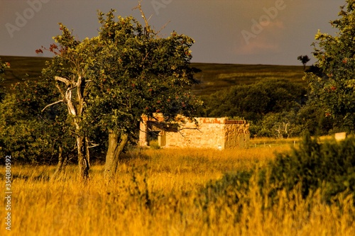 sunset in the countryside
