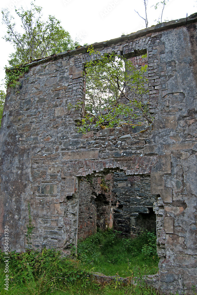 An old and overgrown remains of a castle, Ireland An old and overgrown remains of a castle, Ireland