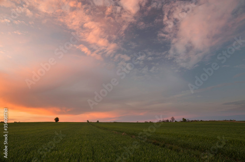 zachód słońca nad polami zbóż