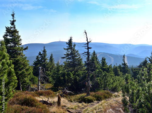 A view of the "Praded" from the "Cervnehorske sedlo" in the Jeseniky Mountains in the Czech Republic, Northern moravian, Europe