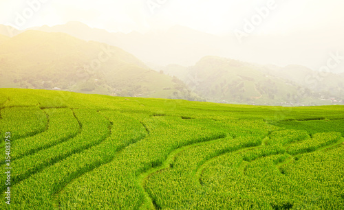 Green terraced rice field in morning mist.Beautiful sunlight over the paddy fields on mountain background.Natural holiday landscape concept. 