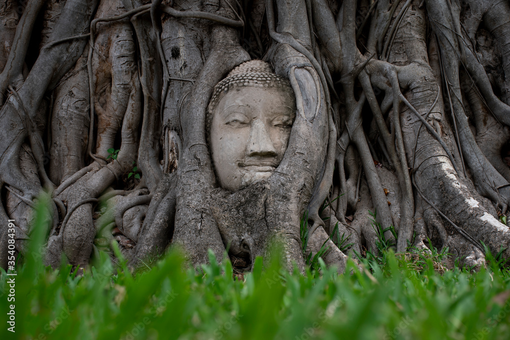 Obraz premium Old Buddha's hear more than 600 years old inside root tree in Wat Maha That in Ayutthaya, Thailand.