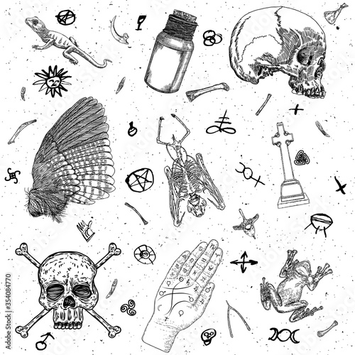Occult witch magic set. Drawn witchcraft mystery symbols, potion poison bottle, palmistry reader hand, bird wing, grave stone cross, vampire bat skeleton, human skull, lizard, toad frog. Vector.