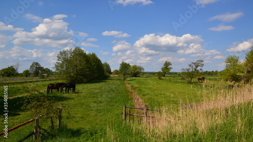Marschbahndamm_036