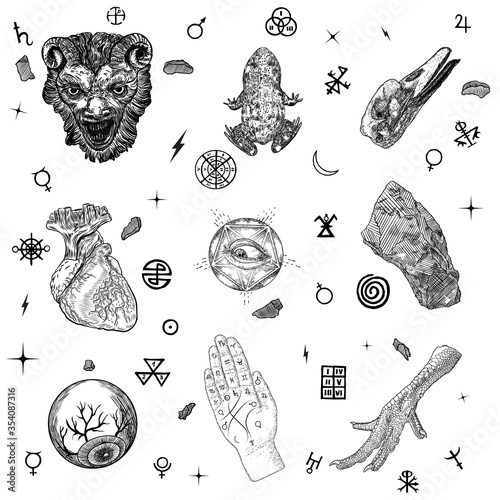 Occult alchemy symbols elements set. Human eye, anatomical heart, palmistry hand, toad, chicken toes, all seeing eye,  and magic stone or crystal. Duck bird skull, demon or evil head. Spiritual Vector