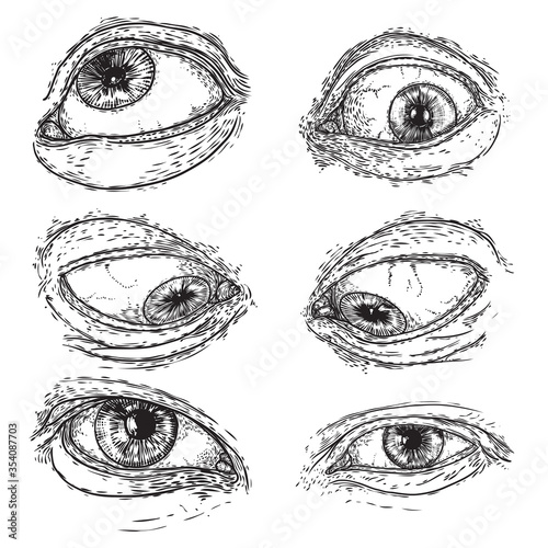 Set of human eyes for design of all seeing eye symbols variations. Alchemy, religion spirituality and occultism tattoo ink art collection. Vision of providence and third eye artwork. Vector.