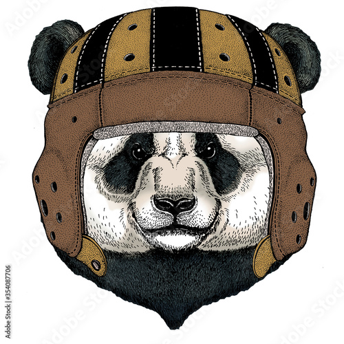 Big panda, bamboo bear portrait. Rugby leather helmet. Face of cute animal. Bear head.