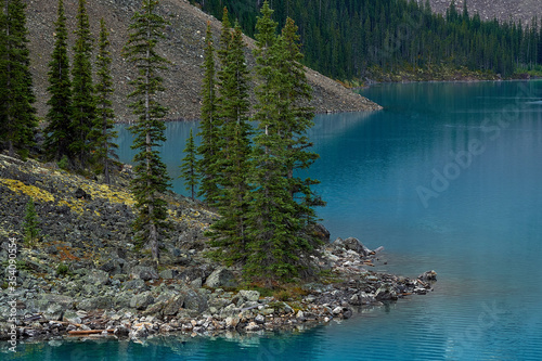 Trees on the shore of Moraine Lake in Canada