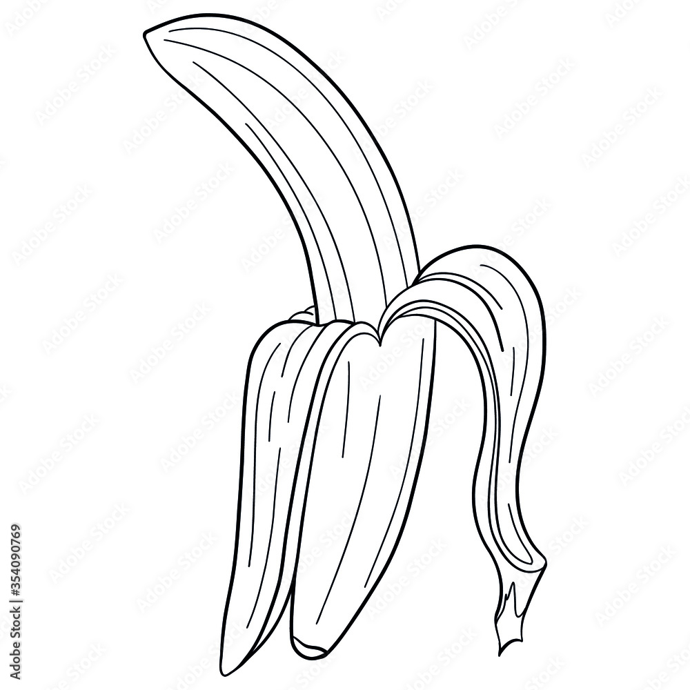monochrome outline drawing of an open banana. comic vector illustration. monochrome outline drawing of an open banana. comic vector illustration.