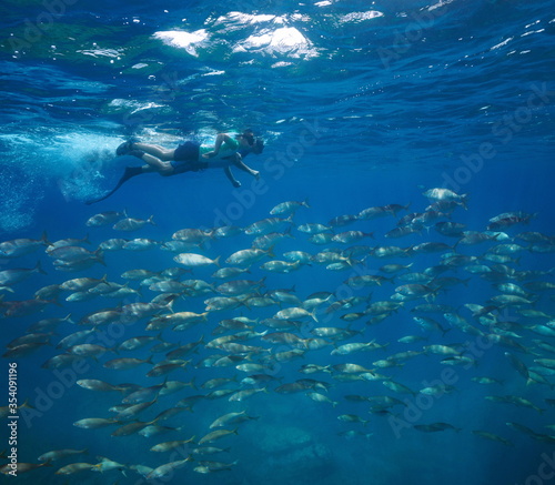 People snorkeling with a group of fish underwater, Mediterranean sea, France