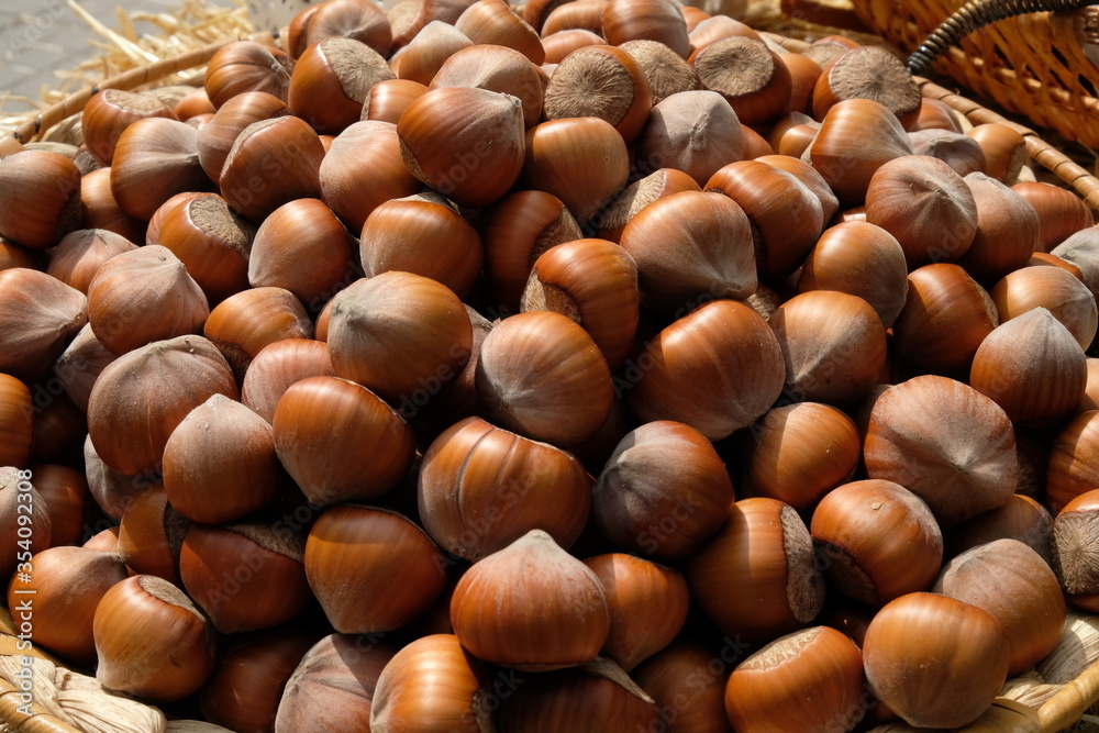 All screen filled with hazelnuts in their shells All screen filled with hazelnuts in their shells