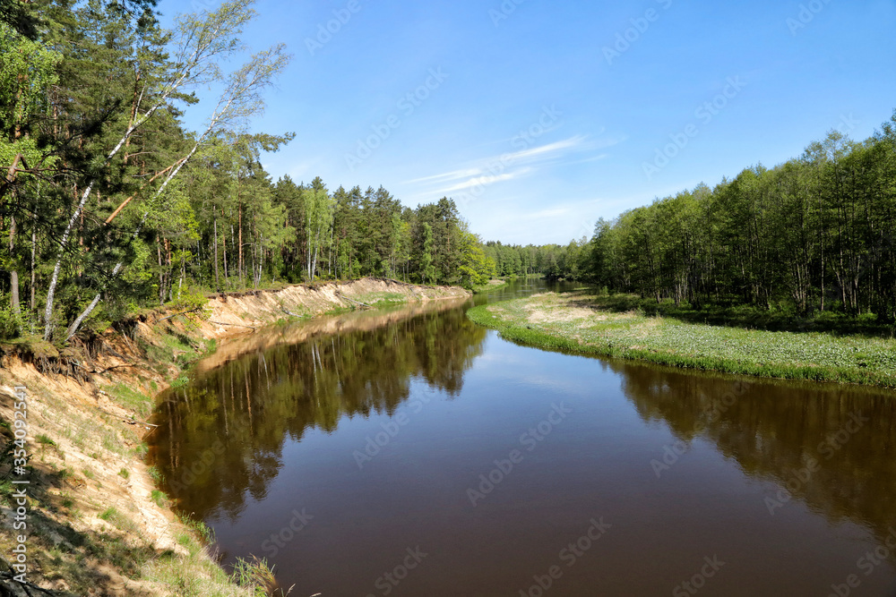 On the banks of the Neman River in the reserve 