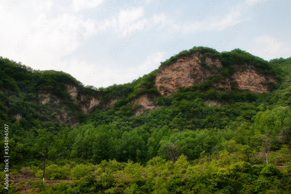 Rock with green trees. Summer. Rock with green trees. Summer.