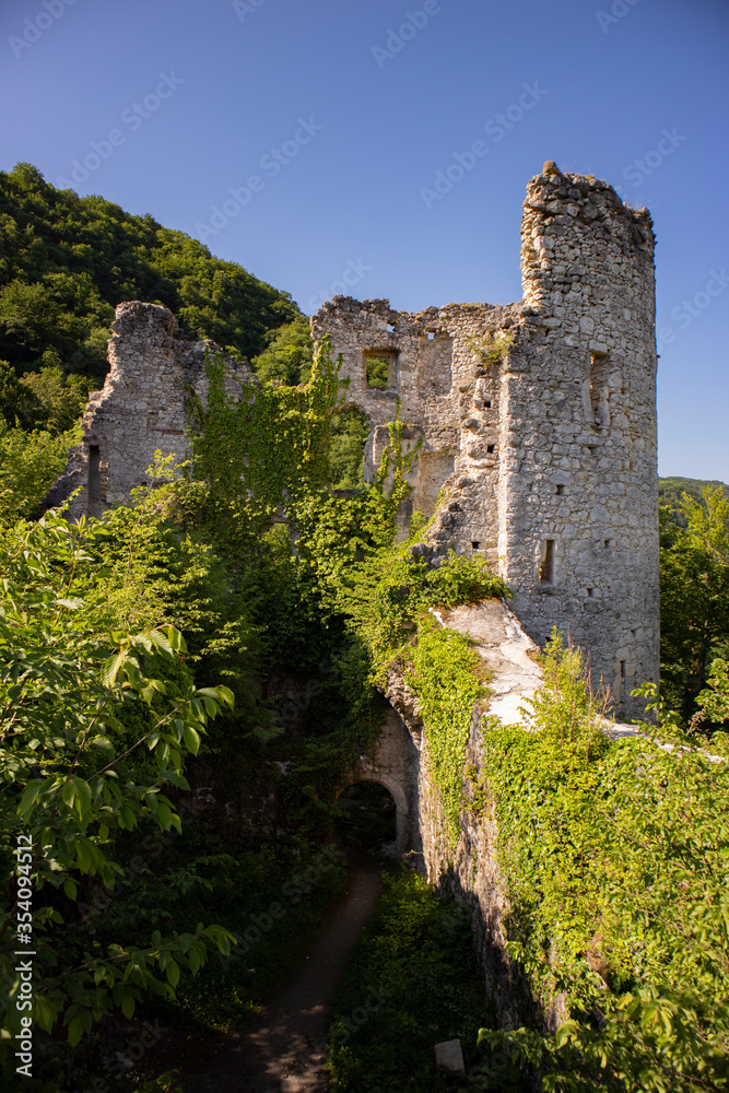 Ruins of old stone fortress overlooking town of Samobor, located on Tepec hill, now overgrown in ivy and foliage