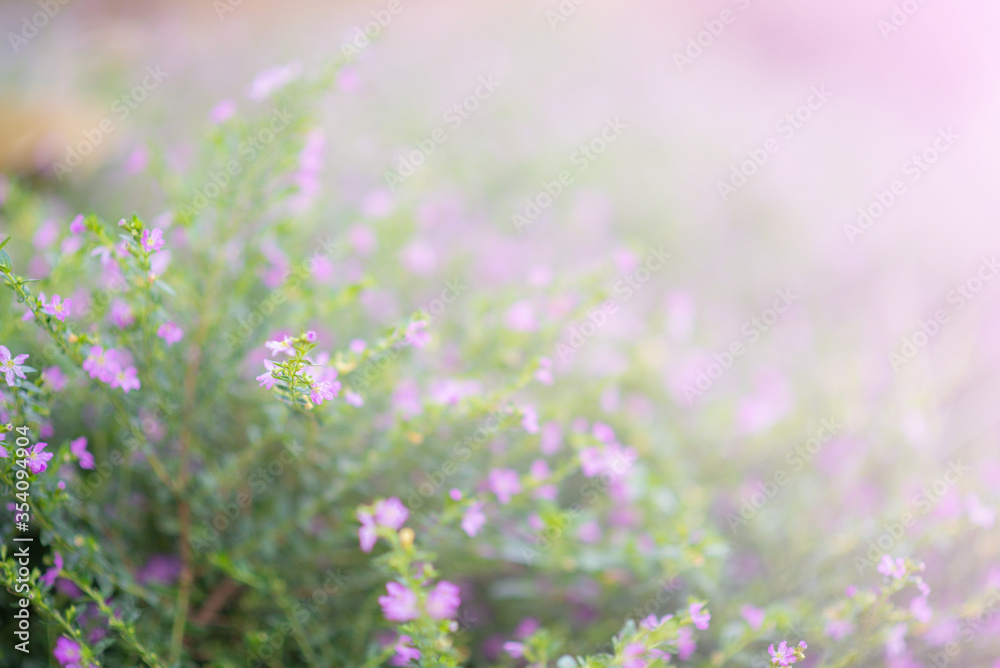 The small violet flowers background select focus