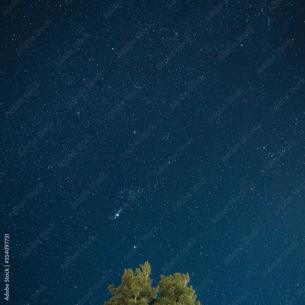 starry sky at night
tree on a background of the starry sky starry sky at night
tree on a background of the starry sky