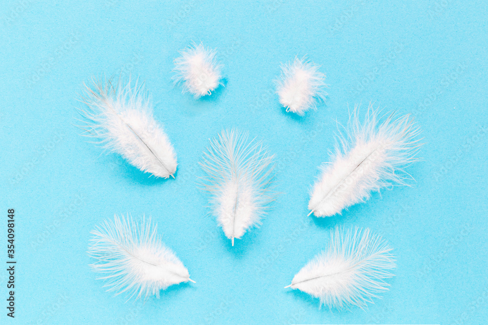 Obraz premium Many white feathers on the soft blue background.