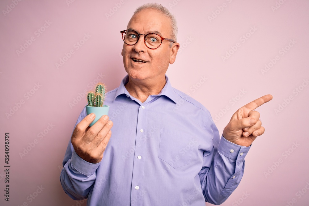 Middle age handsome hoary man holding small cactus plant pot over isolated pink background very happy pointing with hand and finger to the side Middle age handsome hoary man holding small cactus plant pot over isolated pink background very happy pointing with hand and finger to the side