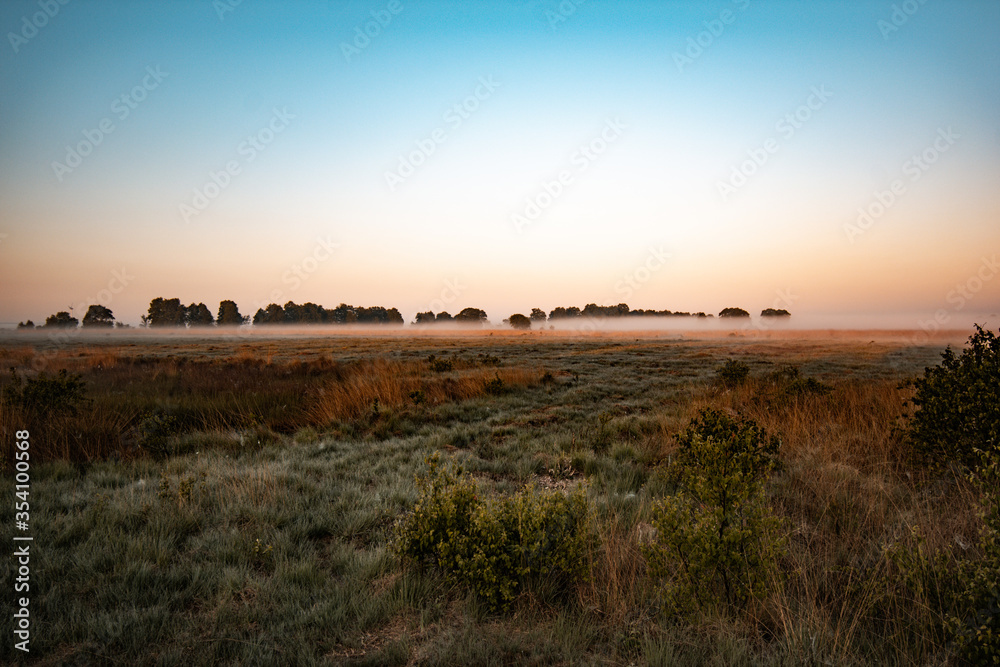 sunrise over the field