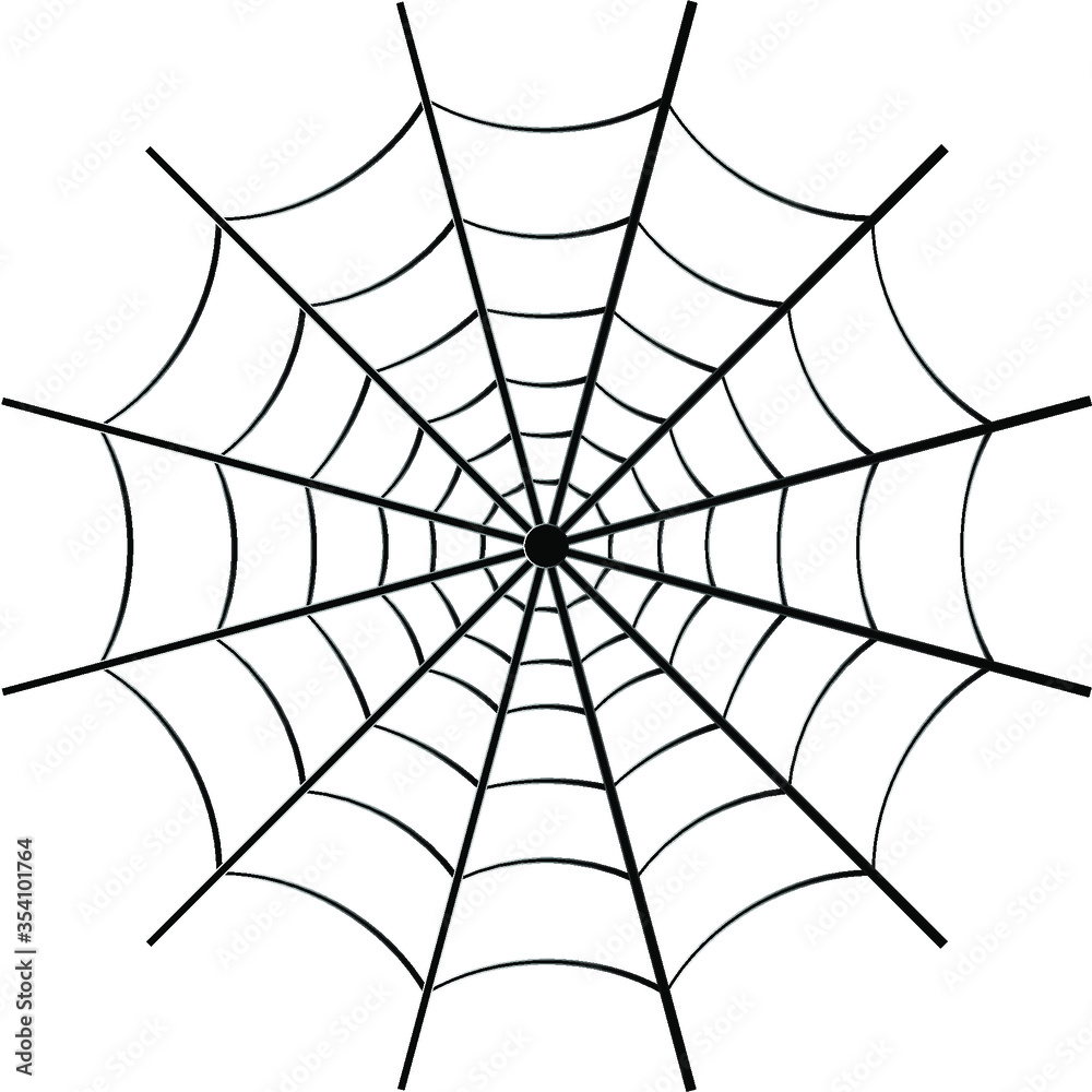 Spider web on white background. Black and white color. Stock vector illustration on white isolated background. Spider web on white background. Black and white color. Stock vector illustration on white isolated background.