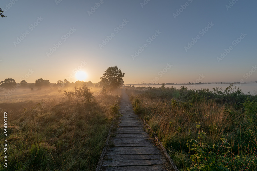 misty morning sunrise in the bog with wooden path