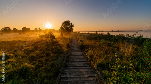 Fototapeta Naklejka Na Ścianę i Meble -  misty morning sunrise in the bog with wooden path
