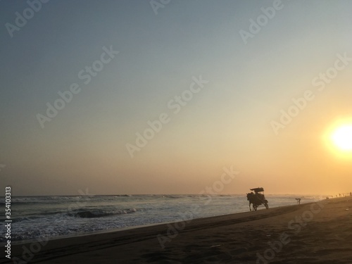 Horse cart at Tropical Sunset Sea © Berlind