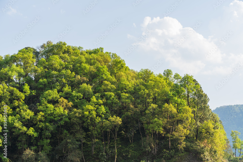 Hills of Nepal, covered with jungle. Landscape with tropical rainforest in bright summer day. Reference image for CG drawing, matte painting. Stock photo.