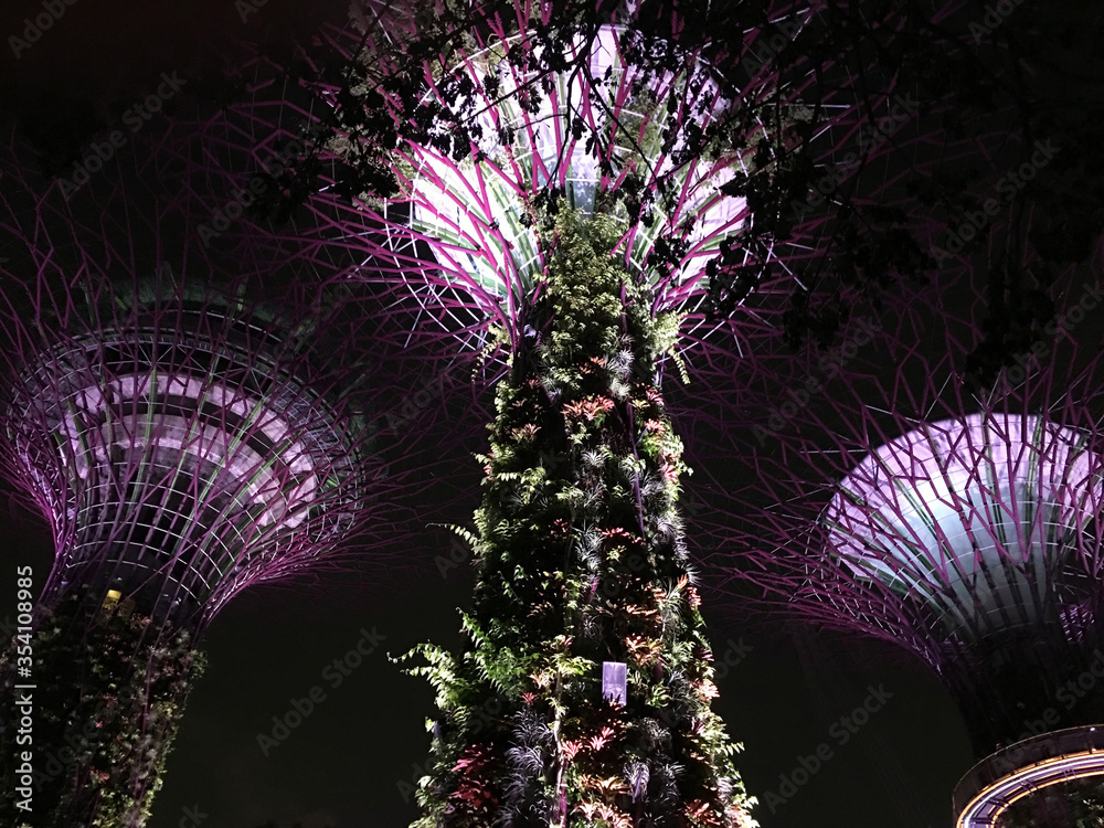 Super trees in Singapore_September_2019
