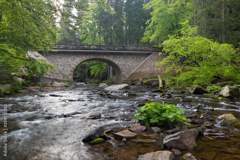 Divoka Orlice river in Zemska brana nature reserve, Orlicke mountains, Eastern Bohemia, Czech Republic Divoka Orlice river in Zemska brana nature reserve, Orlicke mountains, Eastern Bohemia, Czech Republic