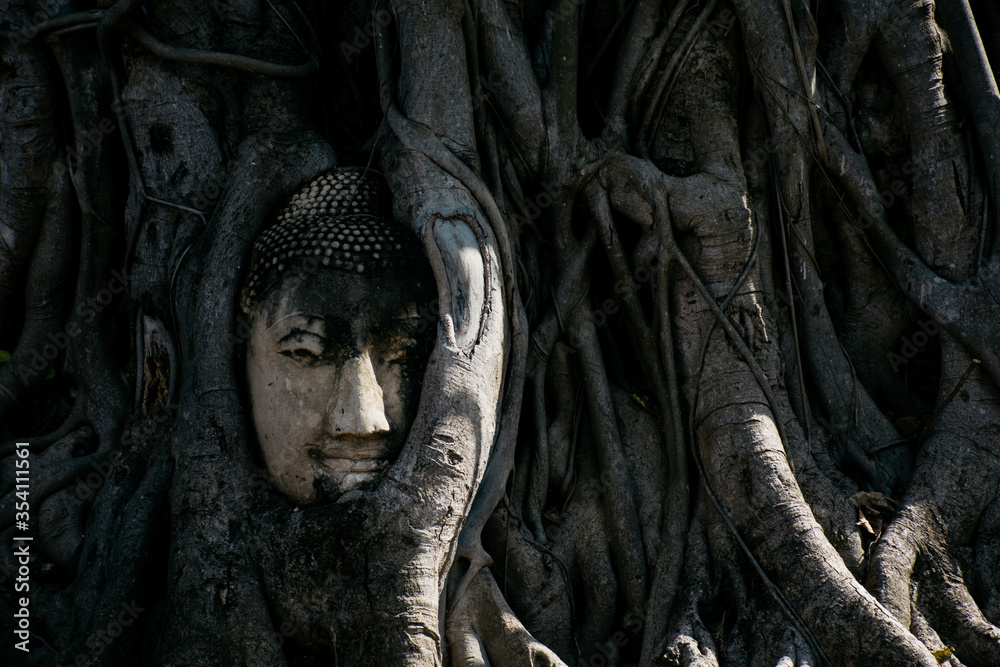 The buddha head in roots of tree. Wat Mahathat Thailand.