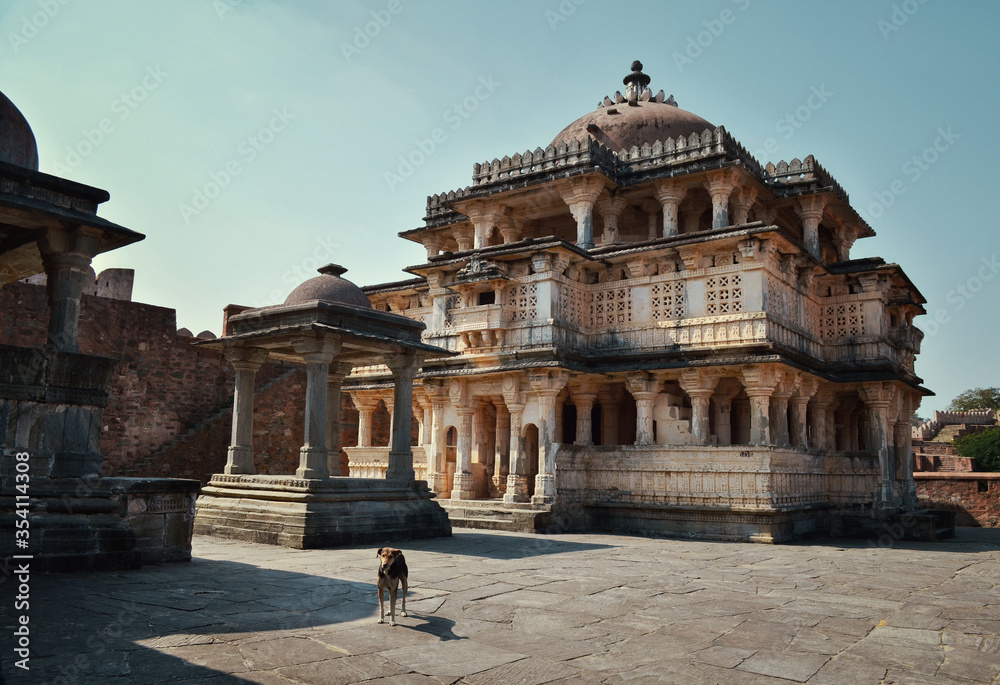 Obraz premium temple with a dog in kumbalgarh fortress, top view, India
