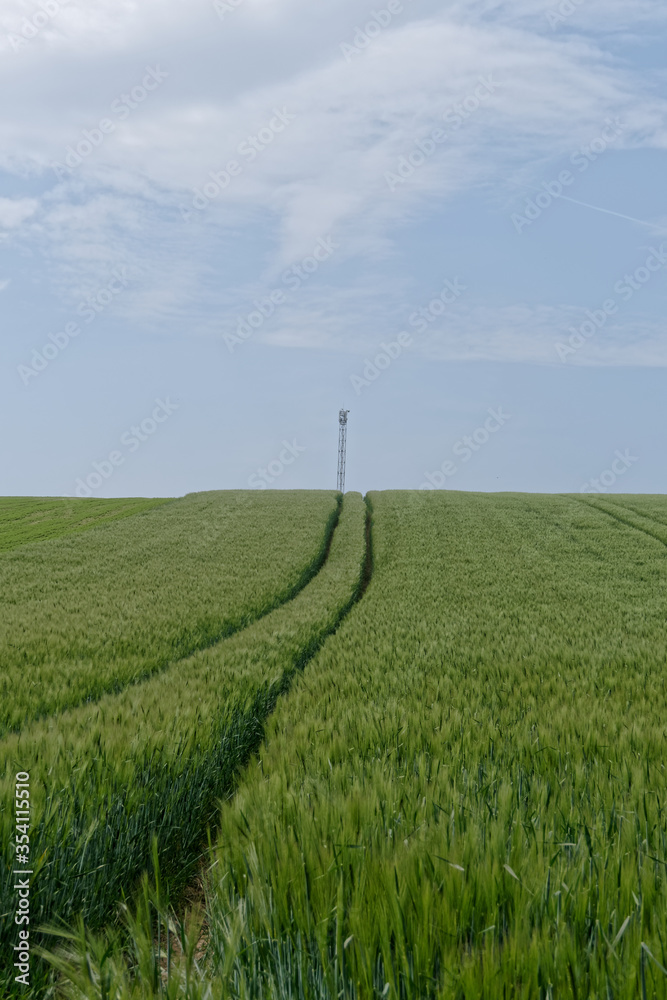 Trace agricole vers l'antenne à l'horizon - France Trace agricole vers l'antenne à l'horizon - France