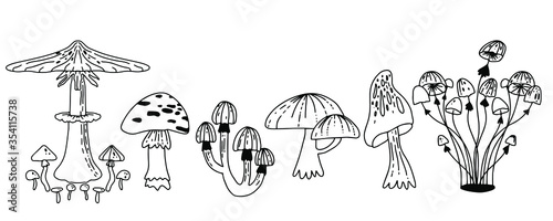 Mushroom hand-drawing vector illustration. An isolated sketch of a food drawing. Champignon, enokitake, oyster, honey agaric, chanterelles, shiitake. Organic vegetarian product for menu, label.