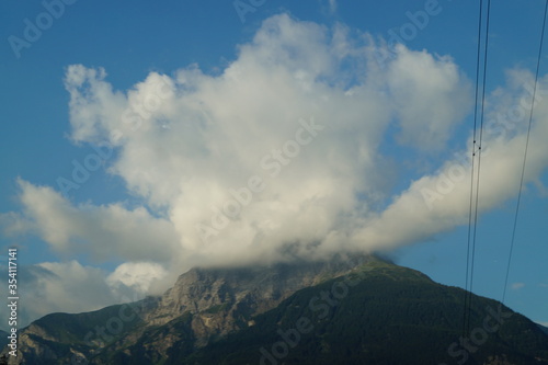 flowers clouds over the mountains